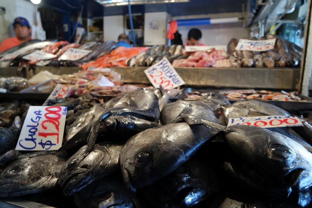 Fischmarkt in Santiago, Chile