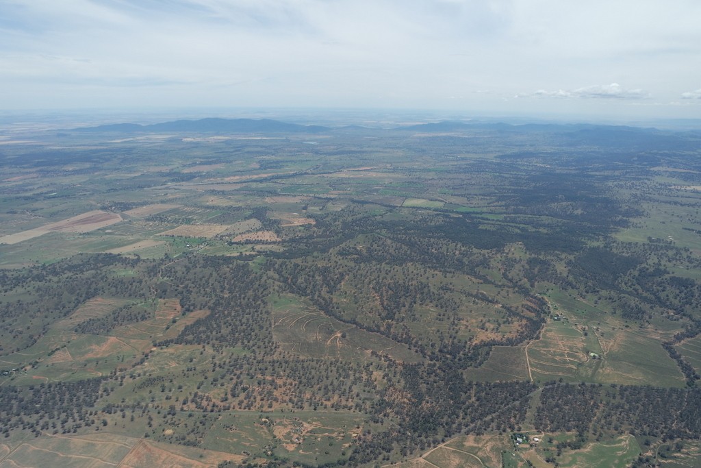 manilla streckenfliegen